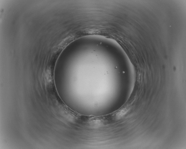 X0000074930620200609011052