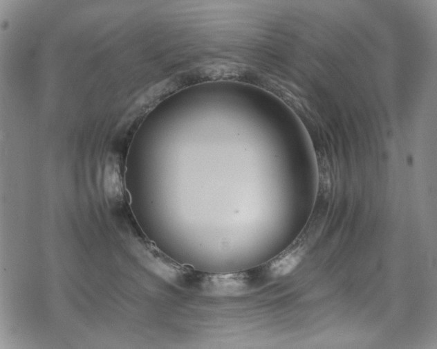 X0000074930622200609011052