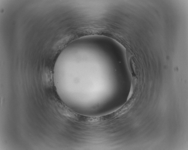 X0000074930624200609011052