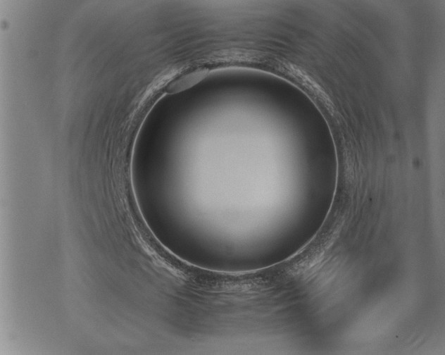 X0000074930625200609011051