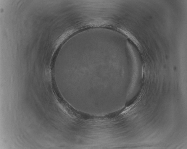 X0000074930626200609011051