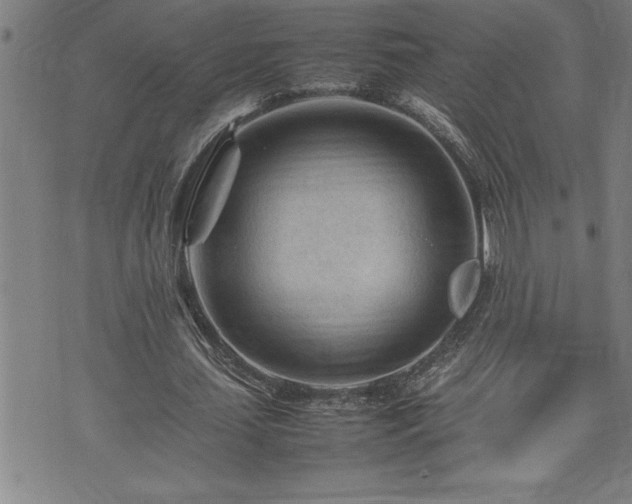 X0000074930627200609011051