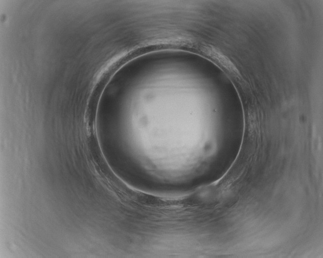 X0000074930628200609011051