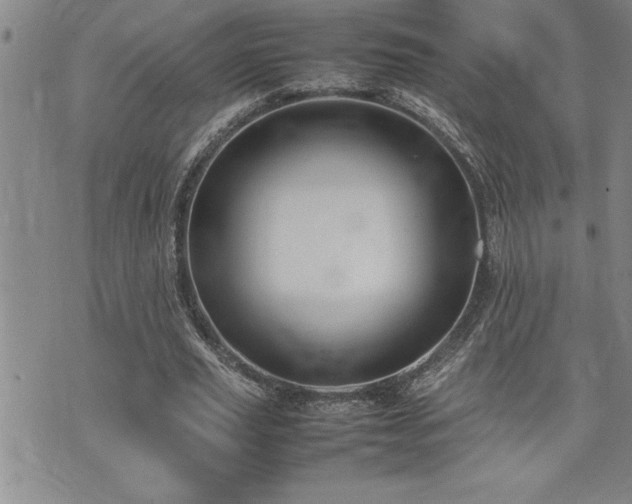 X0000074930629200609011051