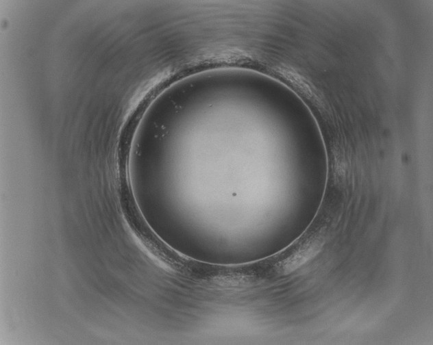 X0000074930630200609011051