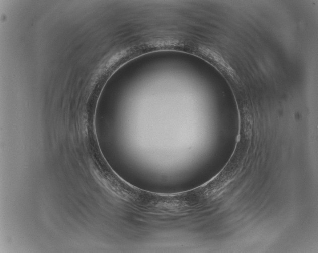 X0000074930631200609011051