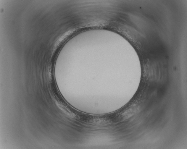 X0000074930632200609011051