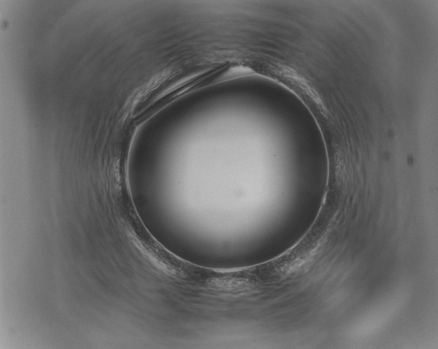 X0000074930633200609011051