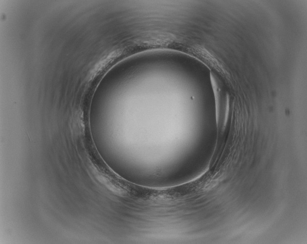 X0000074930634200609011051