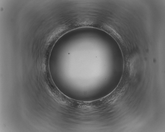 X0000074930635200609011051