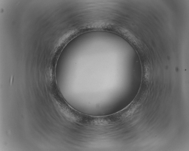 X0000074930636200609011051