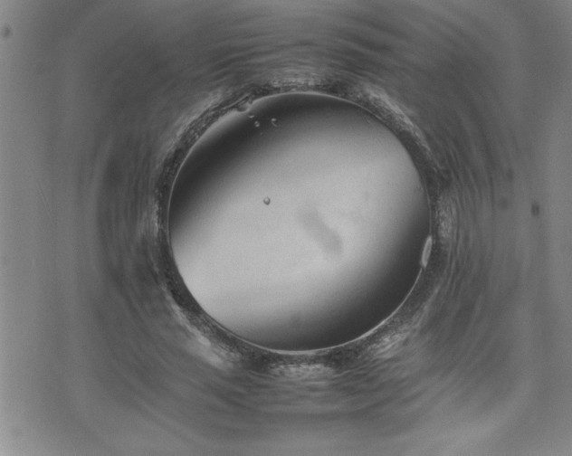 X0000074930637200609011051