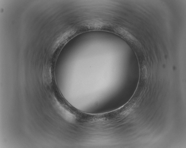 X0000074930638200609011051