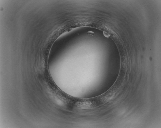 X0000074930639200609011051