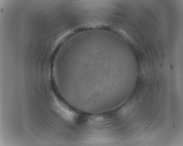 X0000074930640200609011051