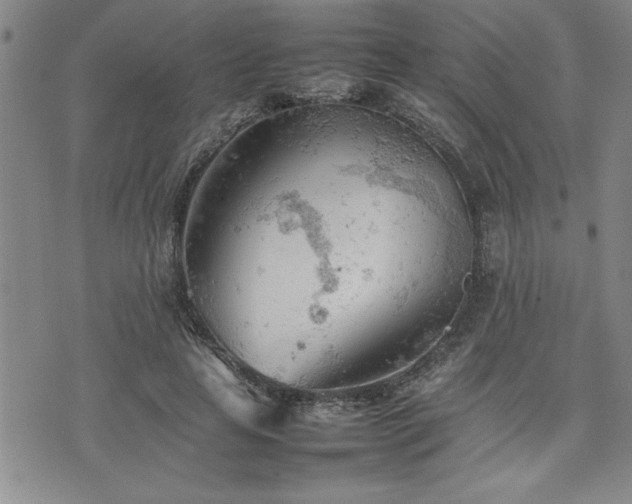 X0000074930641200609011051