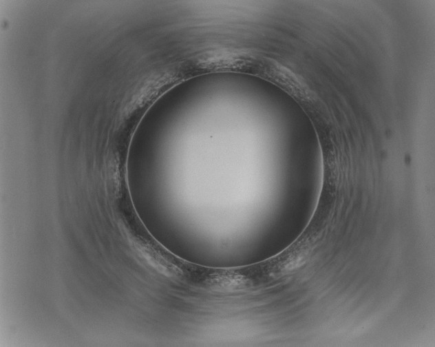 X0000074930642200609011051