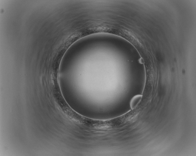 X0000074930643200609011051