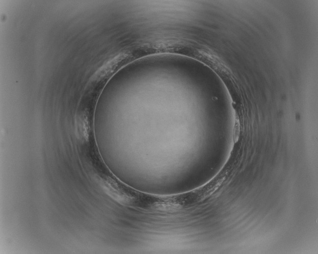 X0000074930644200609011051