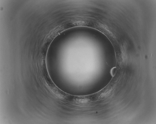 X0000074930645200609011051