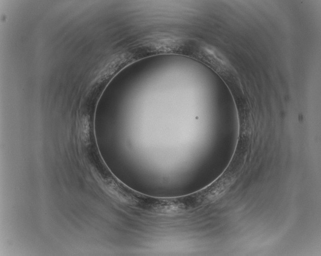 X0000074930646200609011052