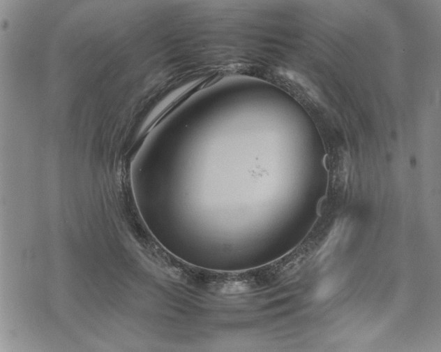 X0000074930647200609011052