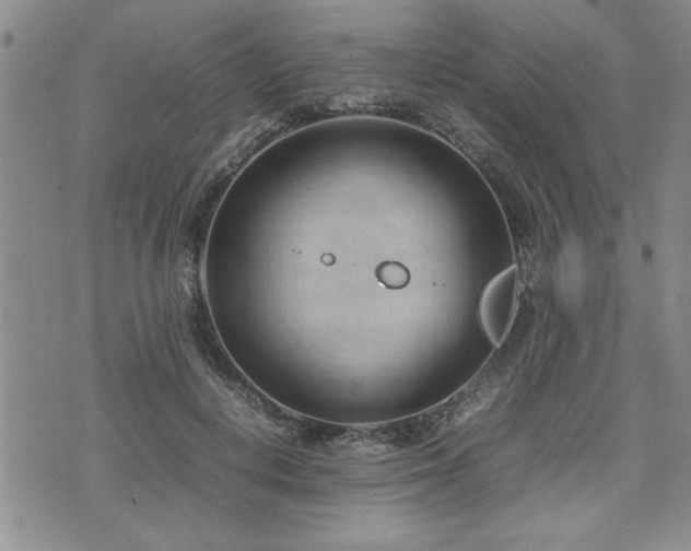 X0000074930648200609011052