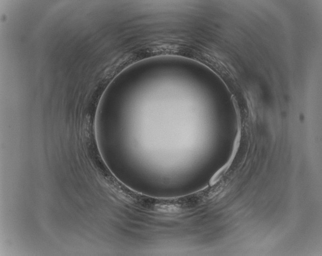 X0000074930649200609011052