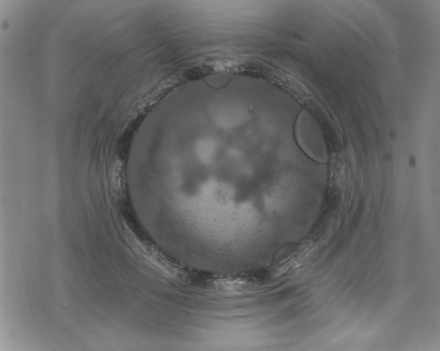 X0000074930650200609011052