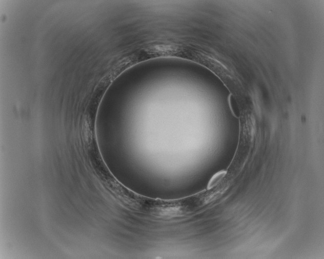 X0000074930651200609011052