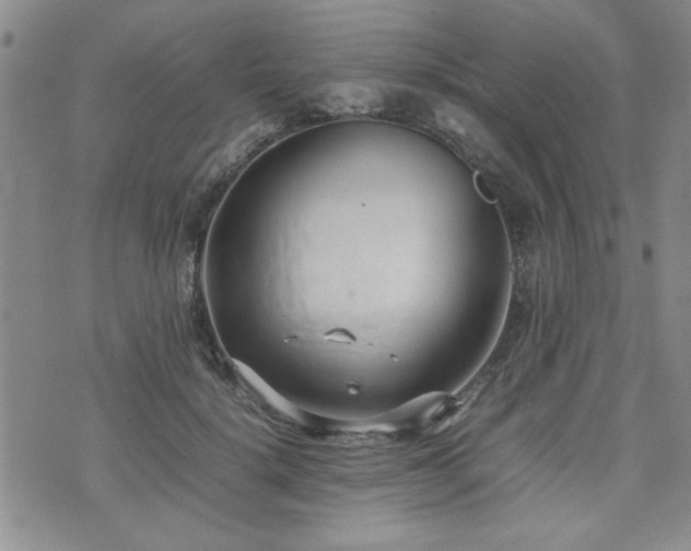 X0000074930652200609011052