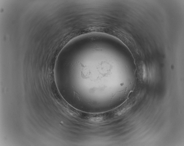 X0000074930653200609011052