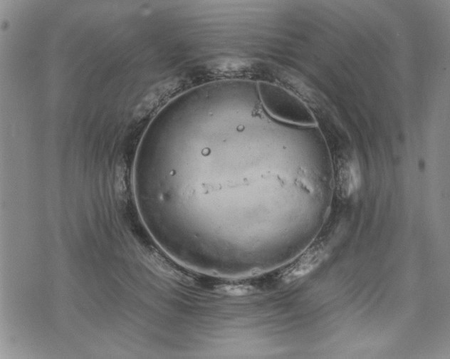 X0000074930654200609011052