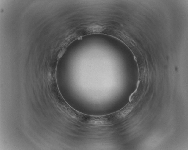 X0000074930655200609011052