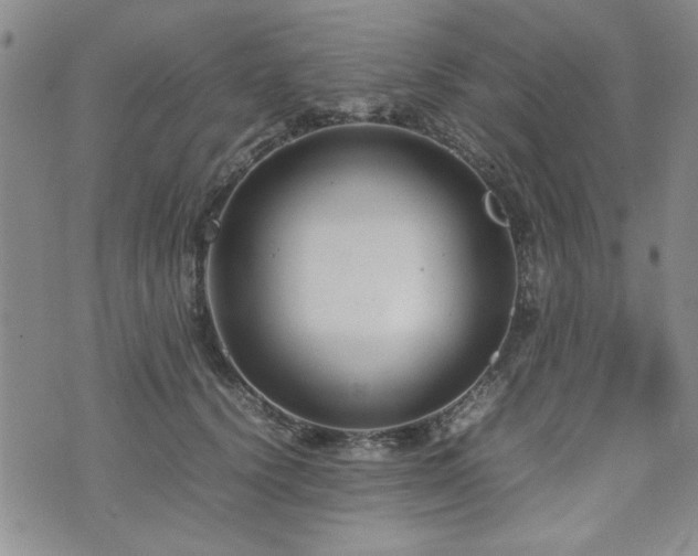 X0000074930656200609011052