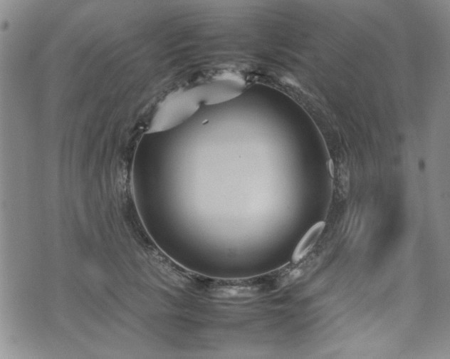 X0000074930657200609011052