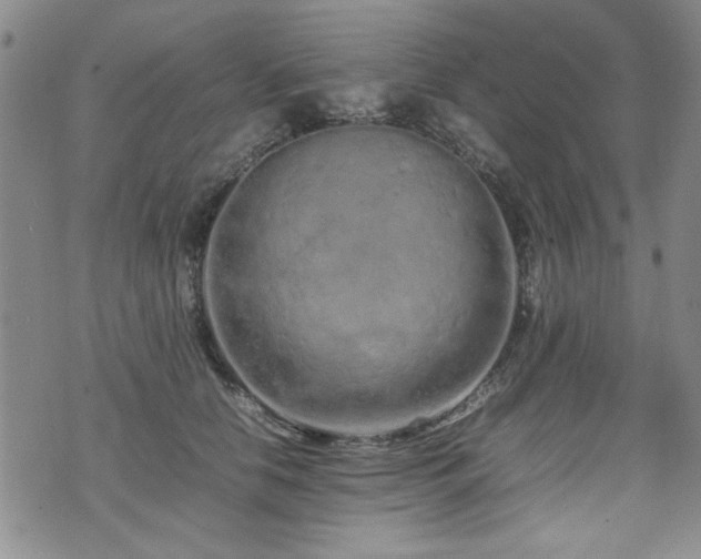 X0000074930658200609011052