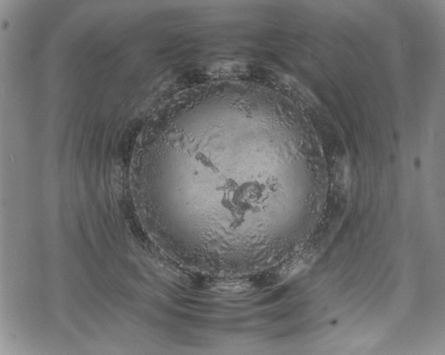 X0000074930659200609011052