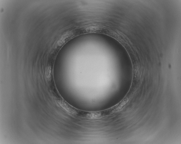 X0000074930660200609011052