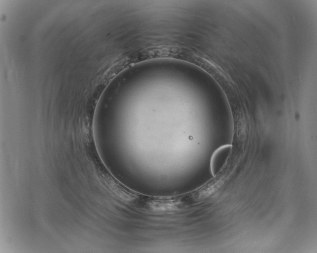 X0000074930661200609011052