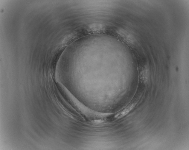 X0000074930662200609011052