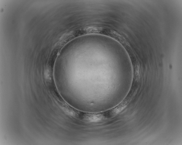 X0000074930663200609011052