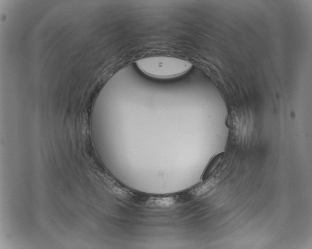 X0000074930665200609011052