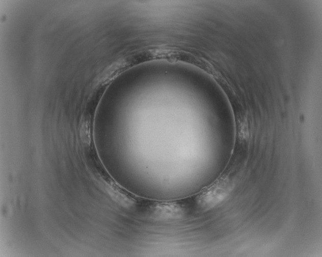 X0000074930666200609011052