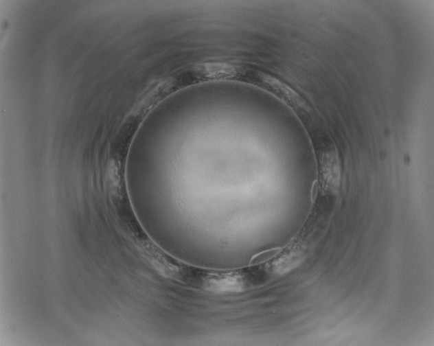 X0000074930667200609011052