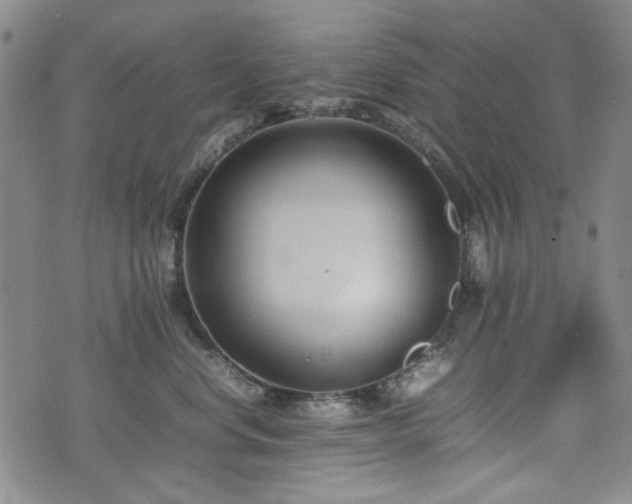 X0000074930668200609011052