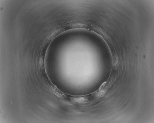 X0000074930669200609011052