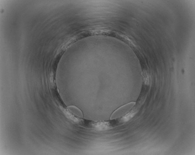 X0000074930670200609011052