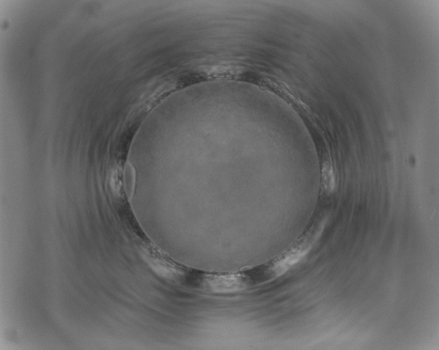 X0000074930671200609011052