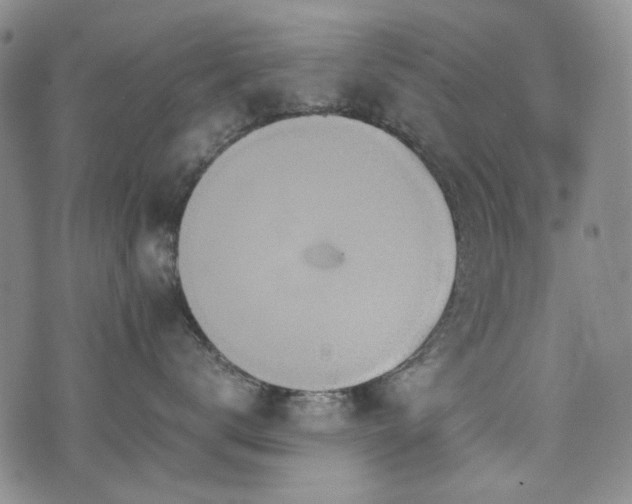 X0000074930672200609011052